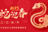 辭舊迎新，蛇舞華章丨深圳容金科技全體員工祝您新春快樂！