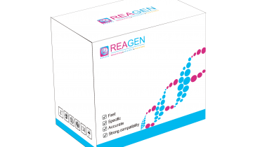 對蝦黃頭病毒（YHV）RNA恒溫核酸檢測試劑盒（不含提?。? />
                            </a>
                        </div>
                                            </div>
                </div>
                <div   id="eg4qksi"   class="col-lg-5">
                    <div   id="2msasa2"   class="product-intro">
                        <h1 class=